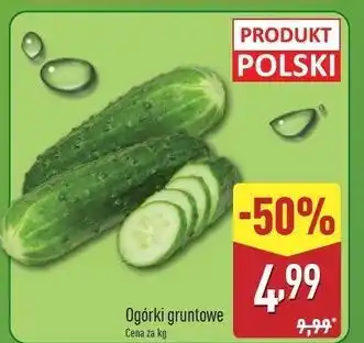 ALDI Ogórek gruntowy oferta