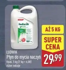 ALDI Płyn do naczyń miętowy Ludwik oferta
