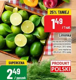Polomarket Koperek Polo Market oferta