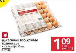 Selgros Jajka z chowu ściółkowego rozmiar L/UV Economy oferta