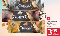 Selgros Lody Gulliver różne rodzaje oferta