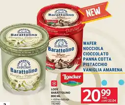 Selgros Lody Barattolino różne rodzaje Sammontana oferta