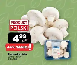 Netto Pieczarka biała Netto oferta