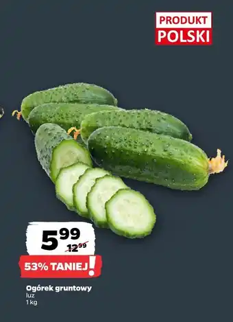 Netto Ogórek gruntowy Netto oferta
