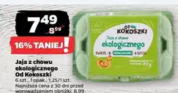 Netto Jaja z chowu ekologicznego od kokoszki oferta