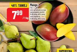 Polomarket Mango POLOmarket oferta