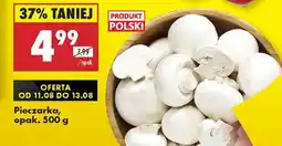 Biedronka Pieczarka opak 500 g oferta