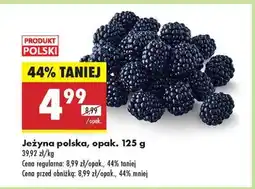 Biedronka Jeżyna polska, opak. 125 g oferta