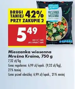 Biedronka Mieszanka wiosenna Mroźna Kraina 750 g oferta