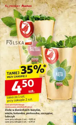 Auchan Zioła Złota w doniczce: bazylia, mięta, kolendra, pietruszka, szczypior, lubczyk Auchan oferta