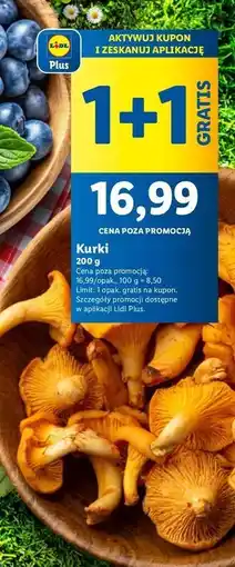 Lidl Kurki oferta