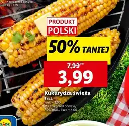 Lidl Kukurydza oferta