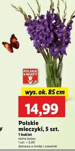 Lidl Mieczyki bukiet oferta