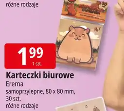E.Leclerc Karteczki samoprzylepne 80 x cm Erema oferta