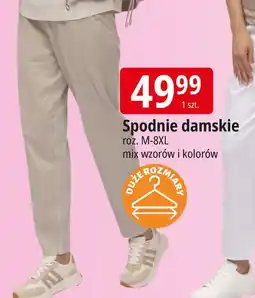 E.Leclerc Spodnie damskie m-8xl oferta