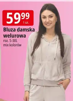 E.Leclerc Bluza damska welurowa oferta