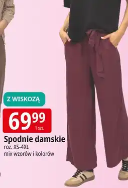 E.Leclerc Spodnie damskie xs-4xl oferta