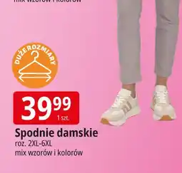 E.Leclerc Spodnie damskie 2xl-6xl oferta