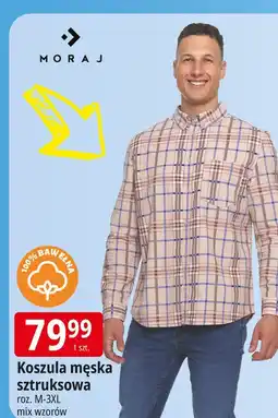 E.Leclerc Koszula męska m-3xl Moraj oferta