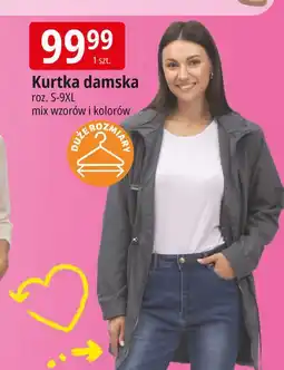 E.Leclerc Kurtka damska s-9xl oferta