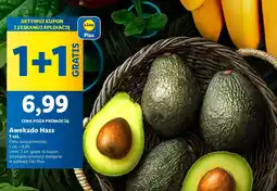Lidl Awokado Hass 1 szt. Lidl oferta
