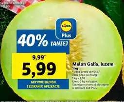 Lidl Melon Galia 1 kg Lidl oferta