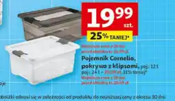 Auchan Pojemnik Cornelia oferta