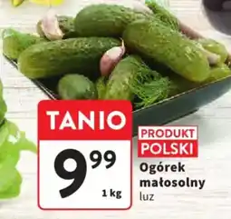 Intermarche Ogórek małosolny oferta