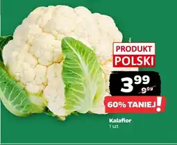 Netto Kalafior 1 szt. Netto oferta