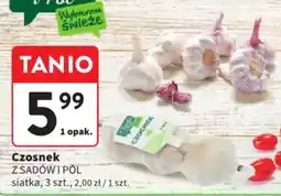 Intermarche Czosnek oferta
