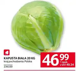 Selgros Kapusta biała oferta