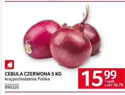 Selgros Cebula czerwona oferta