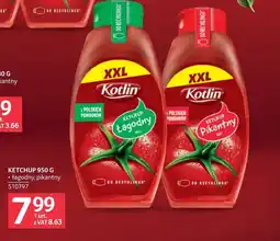 Selgros Ketchup Kotlin oferta