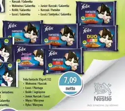 DUO-TES Felix Fantastic oferta