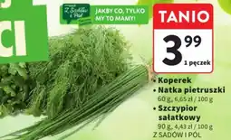 Intermarche Koperek/Natka pietruszki/Szczypior sałatkowy oferta