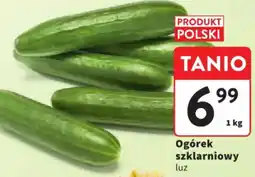 Intermarche Ogórek szklarniowy oferta