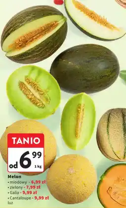 Intermarche Melon oferta