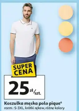 Auchan Koszulka polo męska s-3xl Inextenso By Auchan oferta