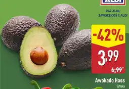 ALDI Awokado Hass oferta