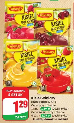 Dino Kisiel Kisiel Winiary różne smaki oferta