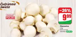 Dino Pieczarka 1 kg Codziennie świeże oferta