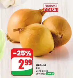 Dino Cebula 1 kg Codziennie świeże oferta