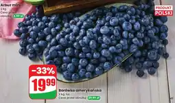 Dino Borówka amerykańska 1 kg Codziennie świeże oferta