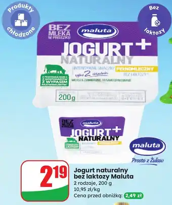 Dino Jogurt naturalny bez laktozy Maluta oferta
