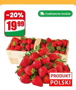 Dino Truskawka Dino oferta
