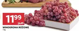 Stokrotka Winogrona różowe Stokrotka oferta