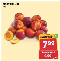 Stokrotka Nektarynki Stokrotka oferta