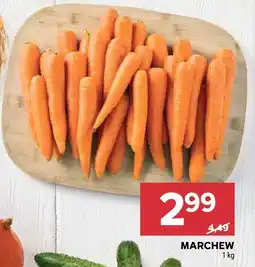 Stokrotka Marchew Stokrotka oferta