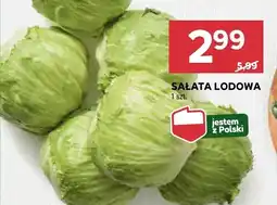 Stokrotka Sałata lodowa Stokrotka oferta
