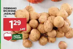 Stokrotka Ziemniaki wczesne jadalne Stokrotka oferta